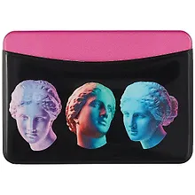 Купить Чехол для карточек горизонтальный Венера в 3D (разные ракурсы) — Фото №1