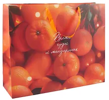 Купить Пакет А3+ 50*40*15 "Время чудес…" Новый год, бум.ламинат — Фото №1