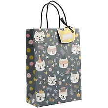 Купить Пакет А5 25*18*8 Funny Cats дет., бум.мат.ламинат — Фото №1