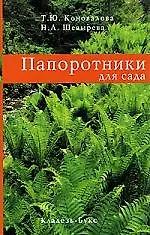 Купить Папоротники для сада — Фото №1