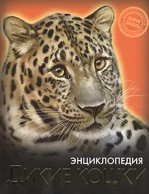 Купить Дикие кошки — Фото №1