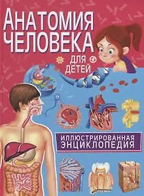 Купить Анатомия человека для детей. Иллюстрированная энциклопедия — Фото №1
