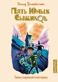 Купить Тайна сгоревшего коттеджа. Книга 1 — Фото №1