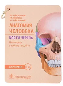 Купить Анатомия человека. Кости черепа. Карточки: наглядное учебное пособие — Фото №1