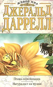Купить Птица-пересмешник.Натуралист на мушке — Фото №1