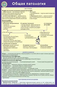 Купить Общая патология — Фото №1