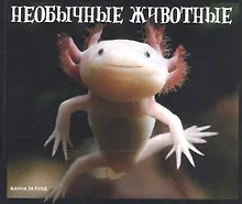Купить Необычные животные — Фото №1