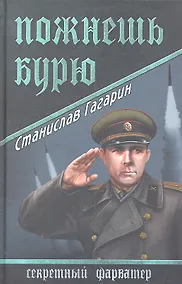 Купить Пожнешь бурю : роман — Фото №1