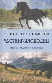 Купить Мустанг-иноходец — Фото №1