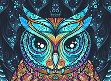 Купить Набор д/творчества Рыжий кот Холст с красками 30х40см по номерам. (20 цв.) Волшебная сова Х-6797 — Фото №1