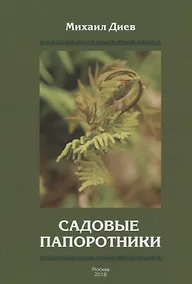 Купить Садовые папоротники — Фото №1