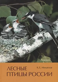 Купить Лесные птицы России — Фото №1