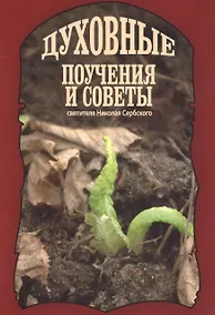 Купить Духовные поучения и советы святителя Николая Сербского — Фото №1
