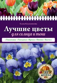 Купить Лучшие цветы для солнца и тени — Фото №1