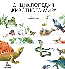 Купить Энциклопедия животного мира — Фото №1