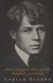 Купить Мне осталась одна забава. Исповедь хулигана. Сборник — Фото №1