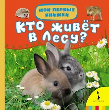 Купить Кто живет в лесу? — Фото №1