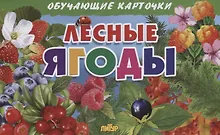 Купить Лесные ягоды. Обучающие карточки — Фото №1