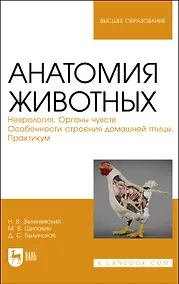 Купить Анатомия животных. Неврология. Органы чувств. Особенности строения домашней птицы. Практикум. Учебное пособие для вузов — Фото №1