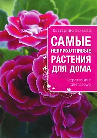 Купить Самые неприхотливые растения для вашего дома — Фото №1