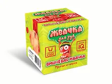Купить Развивающий набор, Master IQ, Сделай сам, Жвачка для рук ВИШНЕВАЯ ЖВАЧКА 383 — Фото №1