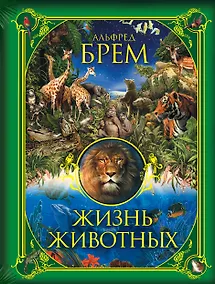 Купить Жизнь животных — Фото №1
