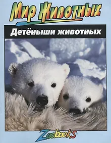 Купить Детеныши животных — Фото №1