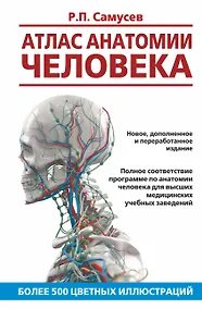 Купить Атлас анатомии человека. Учебное пособие для студентов высших медицинских учебных заведений — Фото №1