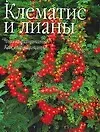 Купить Клематис и лианы — Фото №1