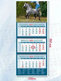 Купить Календарь квартальный 2026г 320*760 «Год лошади. Серый в яблоках жеребец» настенный, трёхблочный, спираль — Фото №1