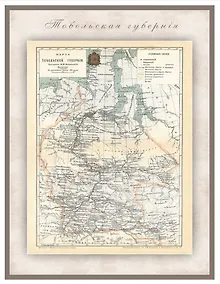 Купить РетроКарта "Тобольская губерния", состояние на 1901 год — Фото №1