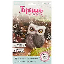Купить Брошь из шерсти Сова (2932515) (Школа талантов) (9+) (коробка) (Арт Узор) — Фото №1