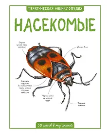 Купить Насекомые — Фото №1