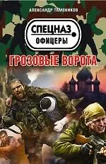 Купить Грозовые ворота — Фото №1