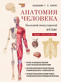 Купить Анатомия человека: большой популярный атлас (новое оформление) — Фото №1