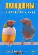 Купить Амадины. Содержание и уход (цвет) — Фото №1