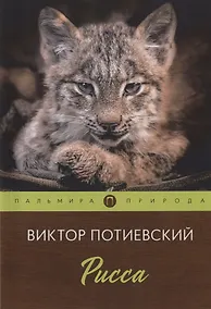 Купить Рисса — Фото №1