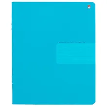 Купить Тетрадь в линейку Альт, "Простые цвета", 24 листа, в ассортименте — Фото №1