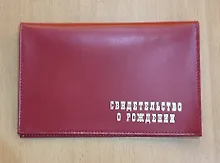 Купить Обложка для свидетельства о рождении, кожа, 195х265, карм. из прозр. пласт., в асс., 7-978 — Фото №1