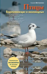 Купить Птицы.Водоплавающие и околоводные — Фото №1