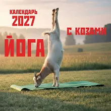 Купить Йога с козами. Календарь настенный на 2027 год (300х300 мм) — Фото №1