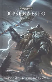 Купить Зовущий бурю — Фото №1