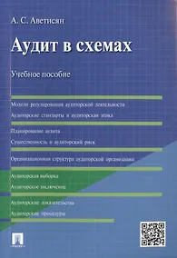 Купить Аудит в схемах.Уч.пос — Фото №1