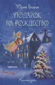 Купить Подарок на рождество — Фото №1