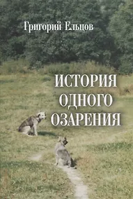 Купить История одного озарения — Фото №1