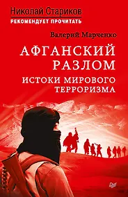 Купить Афганский разлом. Истоки мирового терроризма. С предисловием Николая Старикова — Фото №1