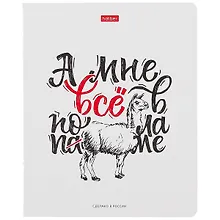 Купить Тетрадь в клетку Hatber, "Ой, всё!", 48 листов, в ассортименте — Фото №1