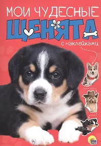 Купить Мои чудесные щенята — Фото №1