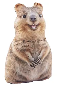 Купить Мягкая игрушка Квокка (36 см) (19.25.1) — Фото №1