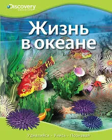 Купить Жизнь в океане — Фото №1